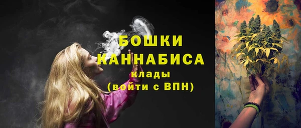 ГАЛЛЮЦИНОГЕННЫЕ ГРИБЫ Беслан