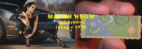 ГАЛЛЮЦИНОГЕННЫЕ ГРИБЫ Беслан