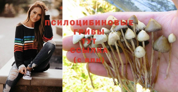 таблы Осташков
