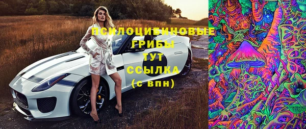 таблы Осташков