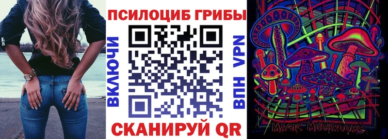 где купить   Алагир  Галлюциногенные грибы Psilocybine cubensis 