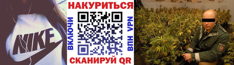 Конопля план  omg   Алагир 